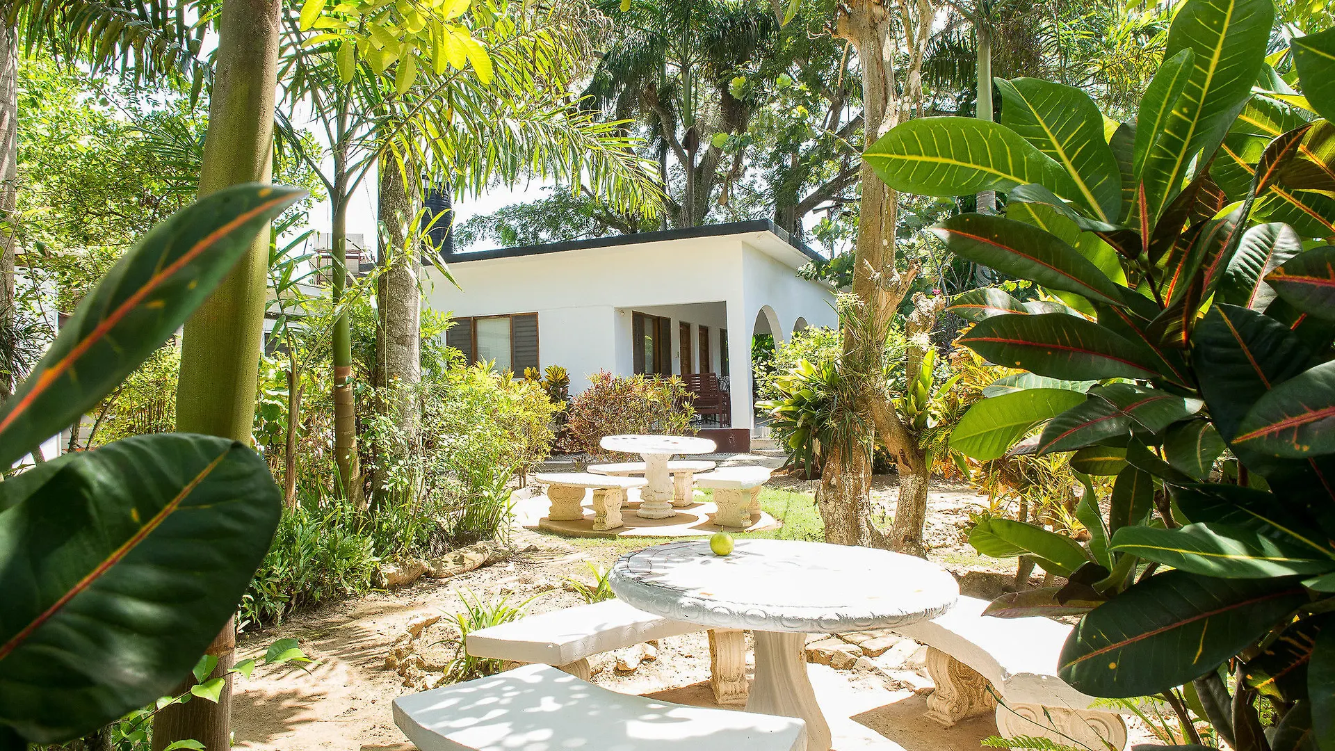 Cottages At Yoga Center 内格里尔 酒店